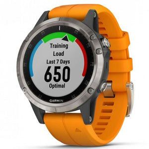 Curele Garmin Fenix 5 Plus