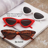 Ochelari de soare Techsuit Sunglasses (5040), polarizati, UV400, maro