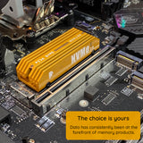 Dato Internal Solid State Drive SSD Ares Aethon (Arsat-4TB), 4TB, PC Interface PCIe Gen5x4, Up to 12000MB/s, Negru