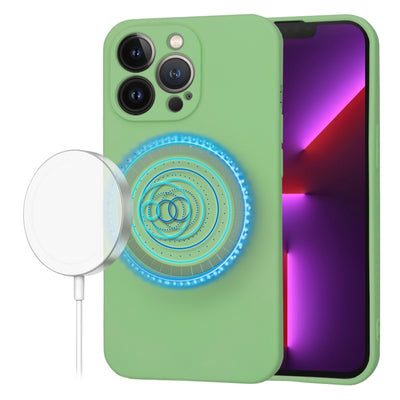 Husa pentru iPhone 13 Pro, Techsuit SoftFlex MagSafe, verde deschis