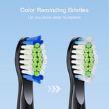 Bitvae Toothbrush Heads (SDD2), pentru Bitvae D2, x4, Alb