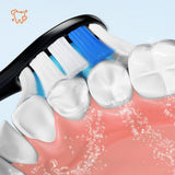 Bitvae Toothbrush Heads (GCS2), pentru Bitvae BVS2, x4, Negru