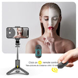 Selfie stick Techsuit Mini (Q11s), Stable Tripod cu Bluetooth Telecomanda si Fill Light, 360 Rotation, 76cm, negru