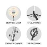Selfie stick Techsuit (Q05s), Stable Tripod cu Bluetooth Telecomanda si Ring Light, Stainless Steel, 170cm, negru