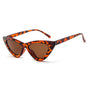 Ochelari de soare Techsuit Sunglasses (5040), polarizati, UV400, maro