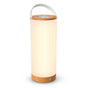 Lampa LED RGB reincarcabila TaoTronics TT-DL23 Pro, 5W, 250 lm, control Touch, 4000mAh